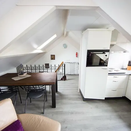 Boshuuske Apartment *